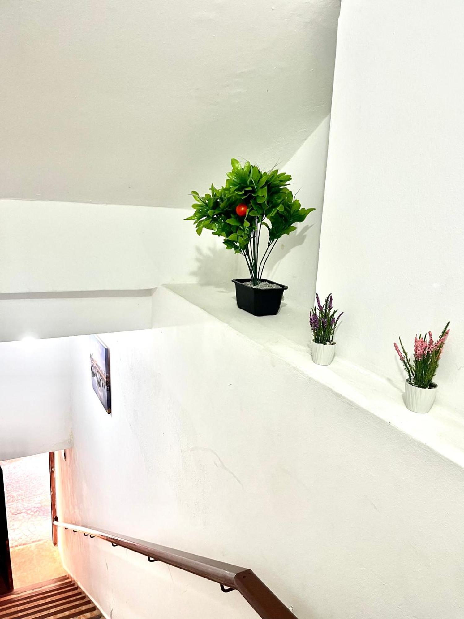 Soleado Apartamento Al Lado De La Preciosa Medina , A 3 Minutos De La Playa Andando II Διαμέρισμα Asilah Εξωτερικό φωτογραφία